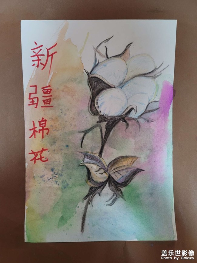 Lemon作品
