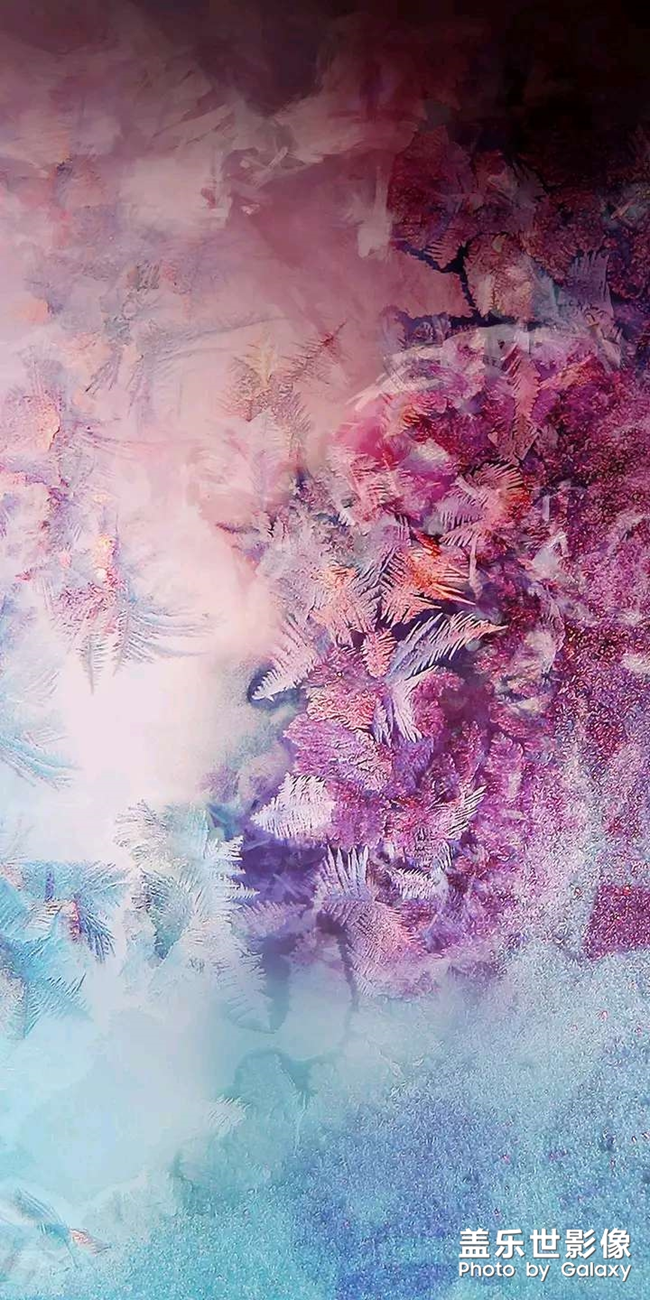 壁纸