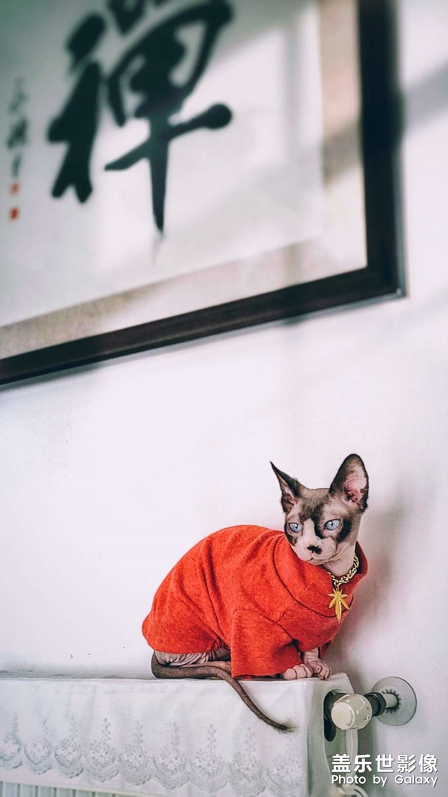 发呆