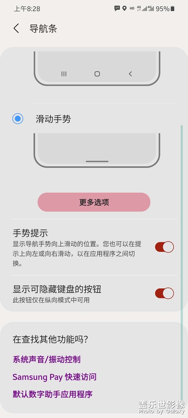 小白条呢？