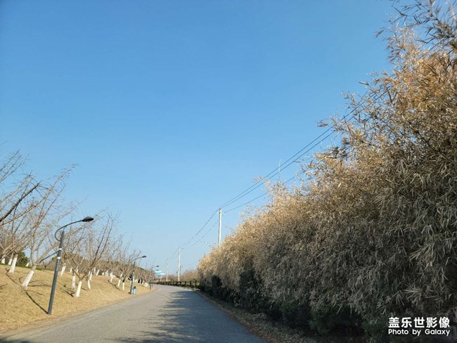 5问盖乐世社区经理(S21板块) 5问盖乐世社区经理(S21板块)