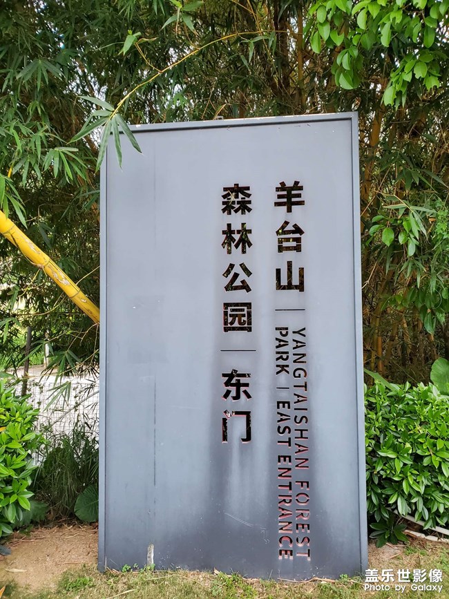 【阳台上一游】