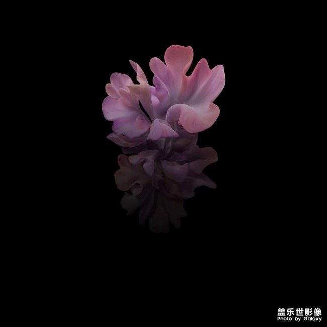 壁纸