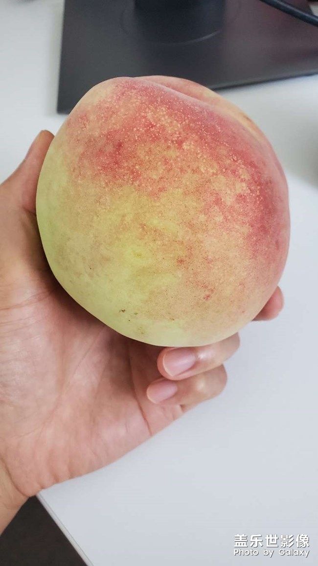 随便来几张吧
