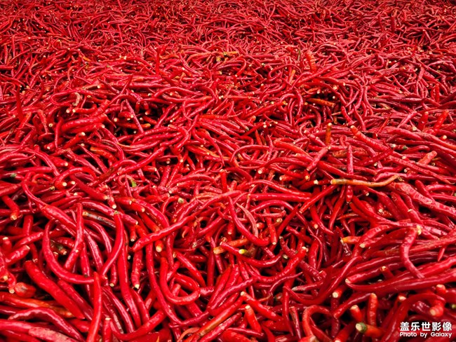 给你们看点好东西。。。