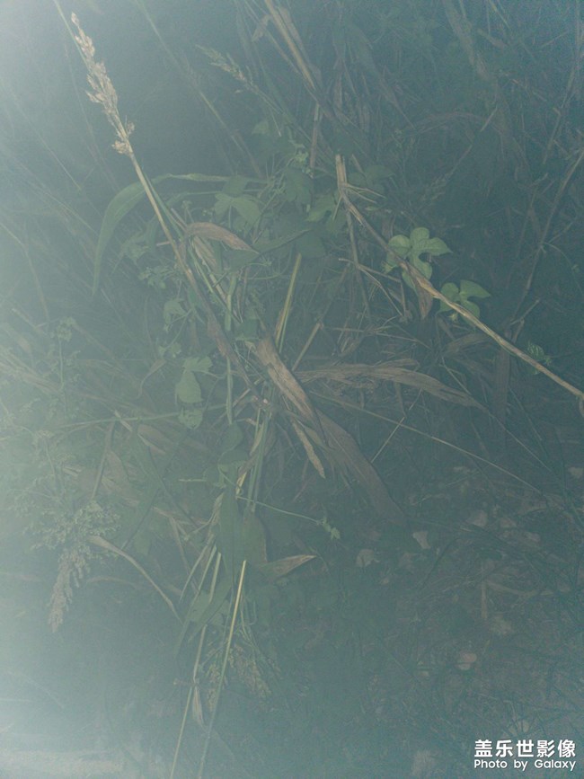 闪光灯不同步请问各位大佬有何方法？