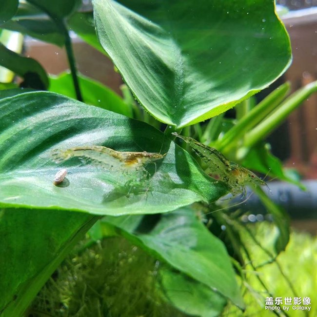 水世界