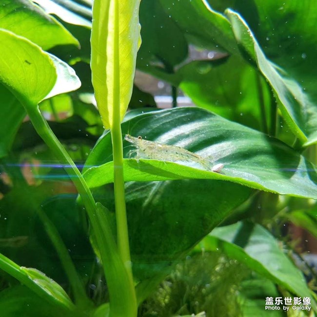 水世界