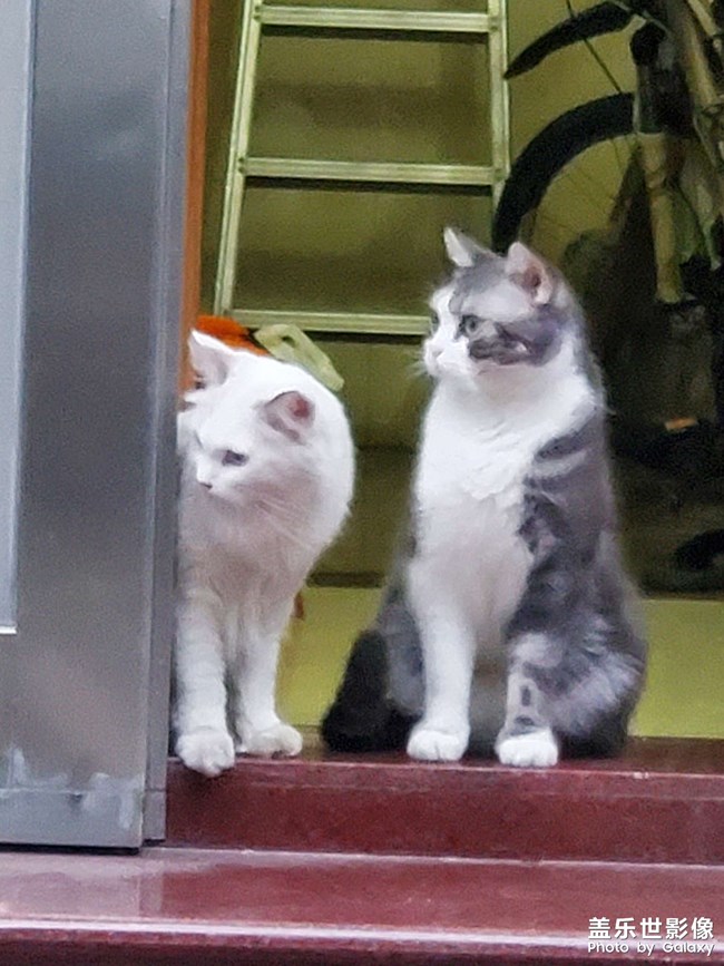 旧时