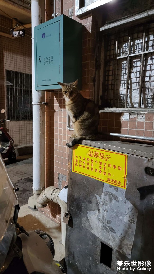 随手一拍