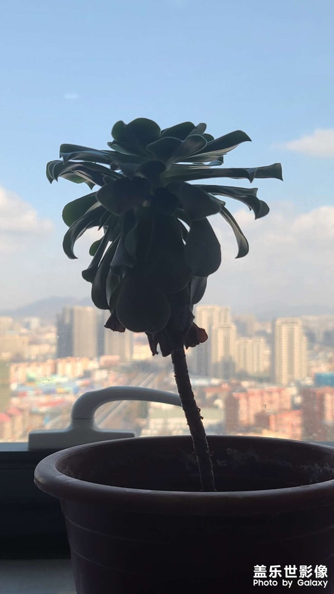 看世界