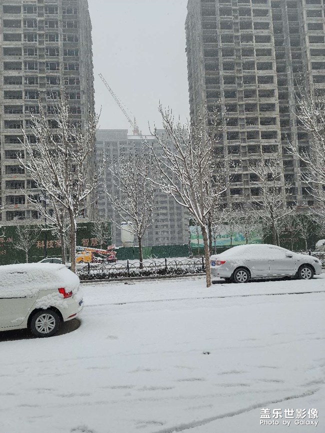 哇      下雪了