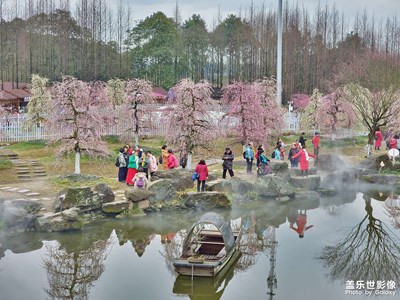 【场景小拍】+仙气飘飘