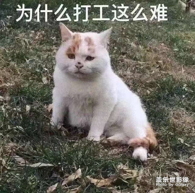 推一个表情包