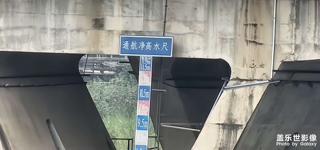 东江晨泳