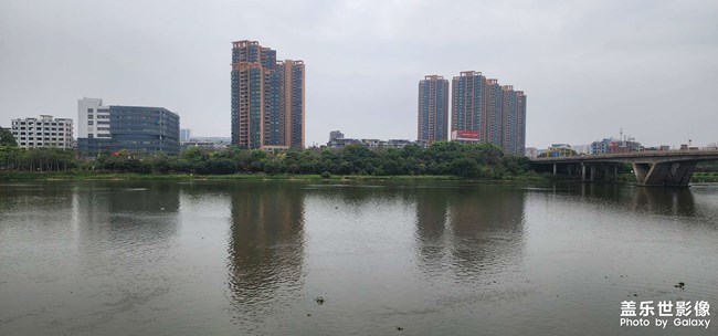 东江晨泳