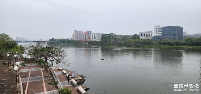 东江晨泳