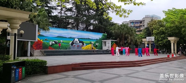 老年人的生活