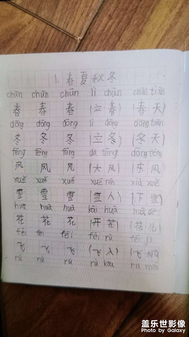 每日照片分享