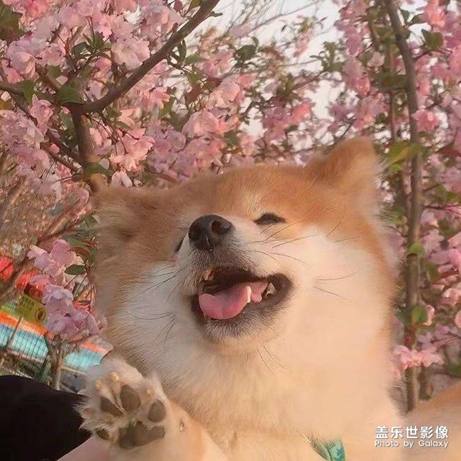 春天