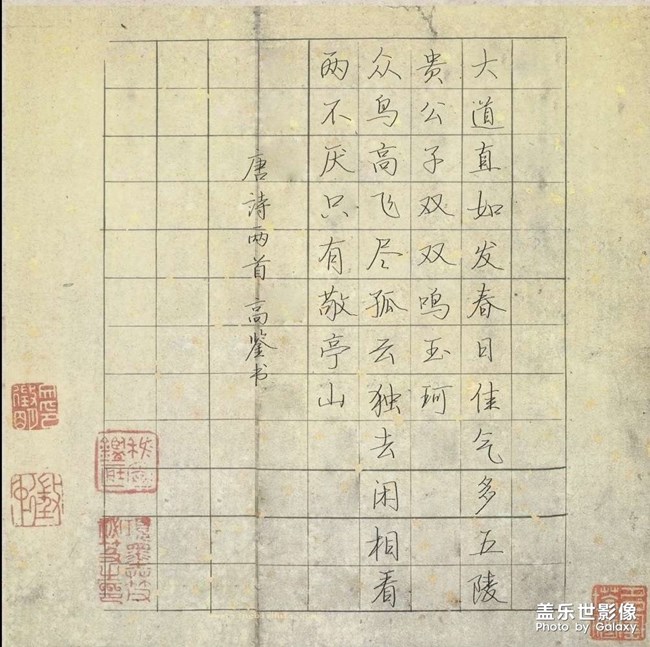 书法老师最喜欢spen