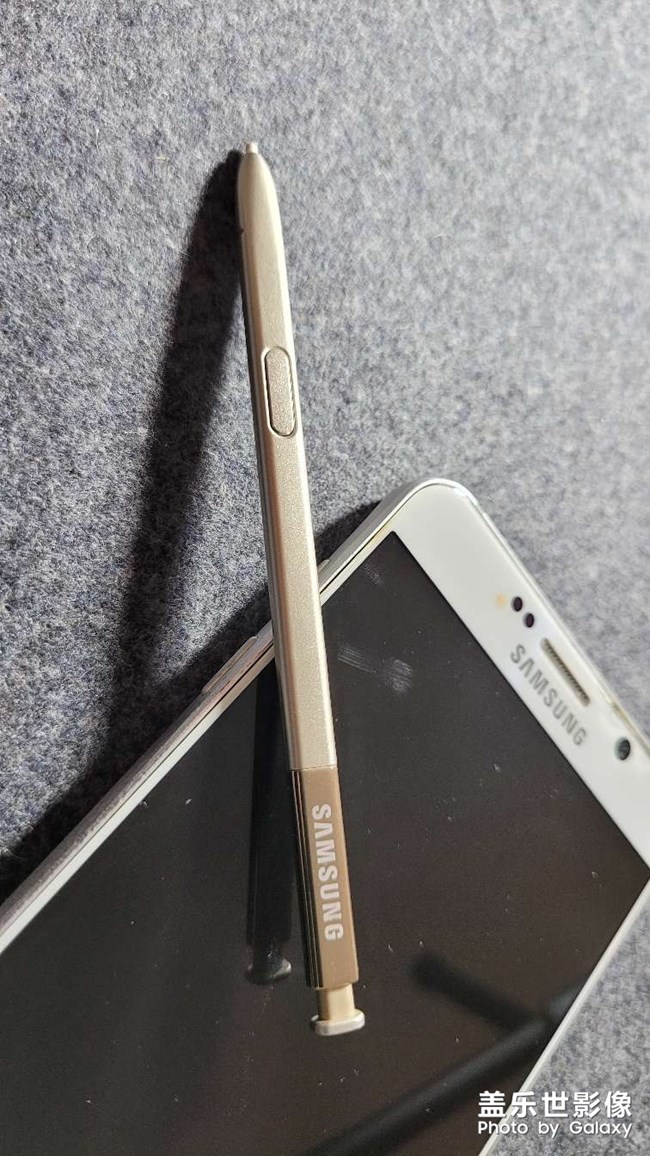 书法老师最喜欢spen