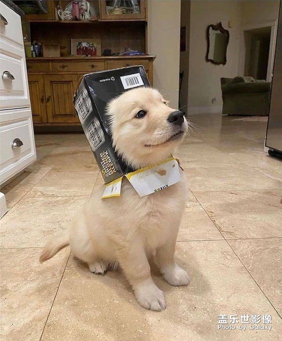 新头像