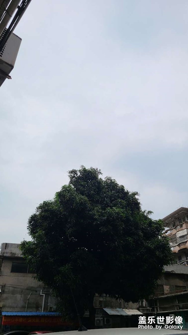 每日照片分享