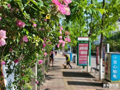 【时光正好】+花开时节