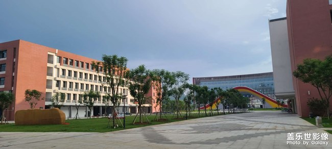 三尺讲台，为学为师