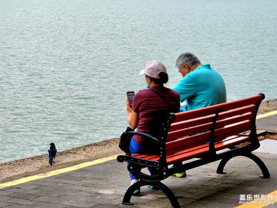 【不匆忙时刻】背影愉悦