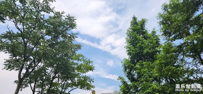 新一周开始了