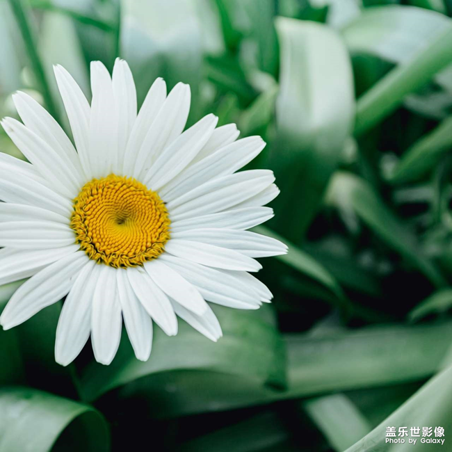 分享超清壁纸给大家