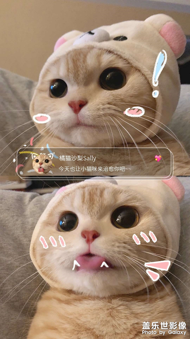 三星主题商店付费壁纸