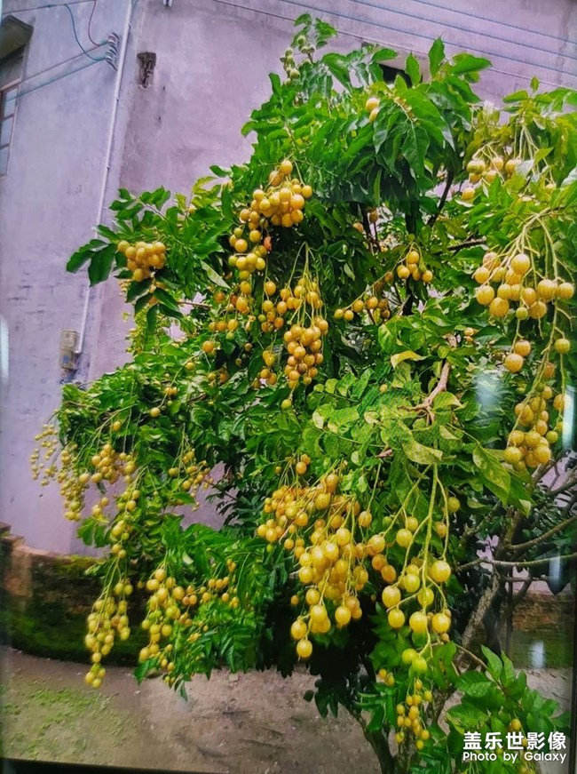 喜欢在家