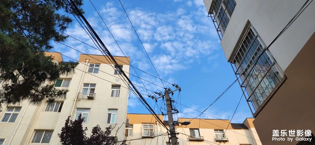 今日无文案