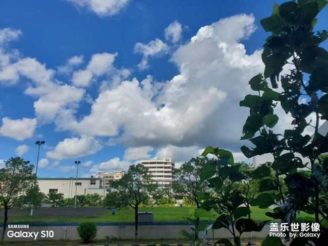 本着疫情不跨区的原则