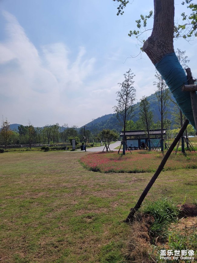 发个照片