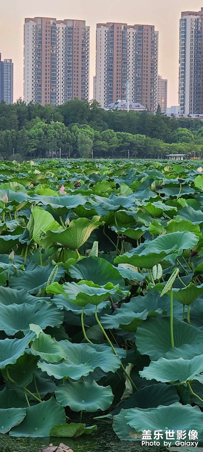 早安