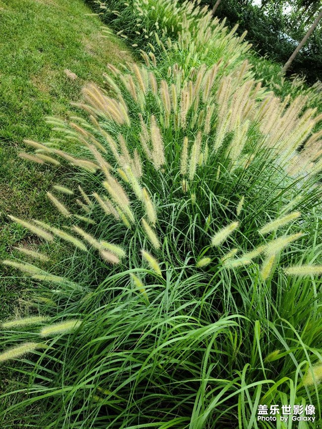 随手