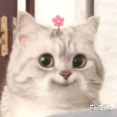 早安