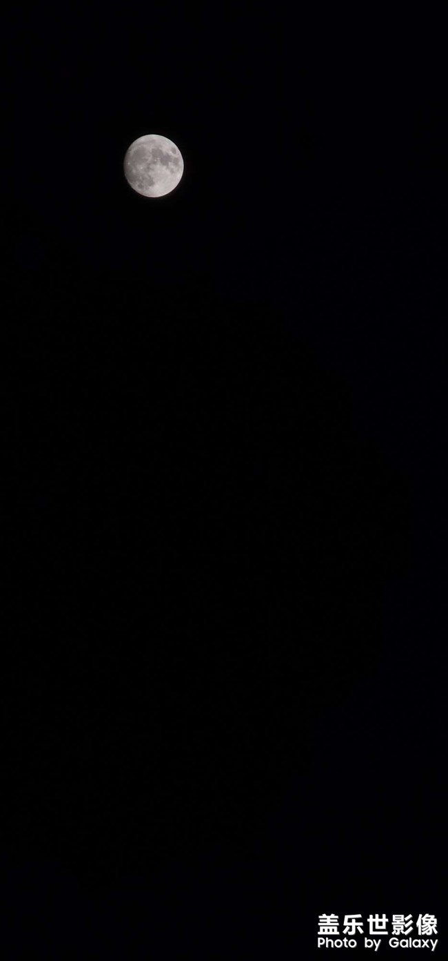 天若有情天亦老•月如无恨月长圆