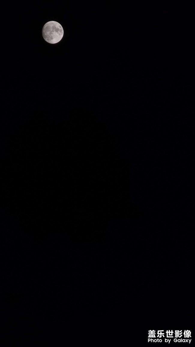 天若有情天亦老•月如无恨月长圆