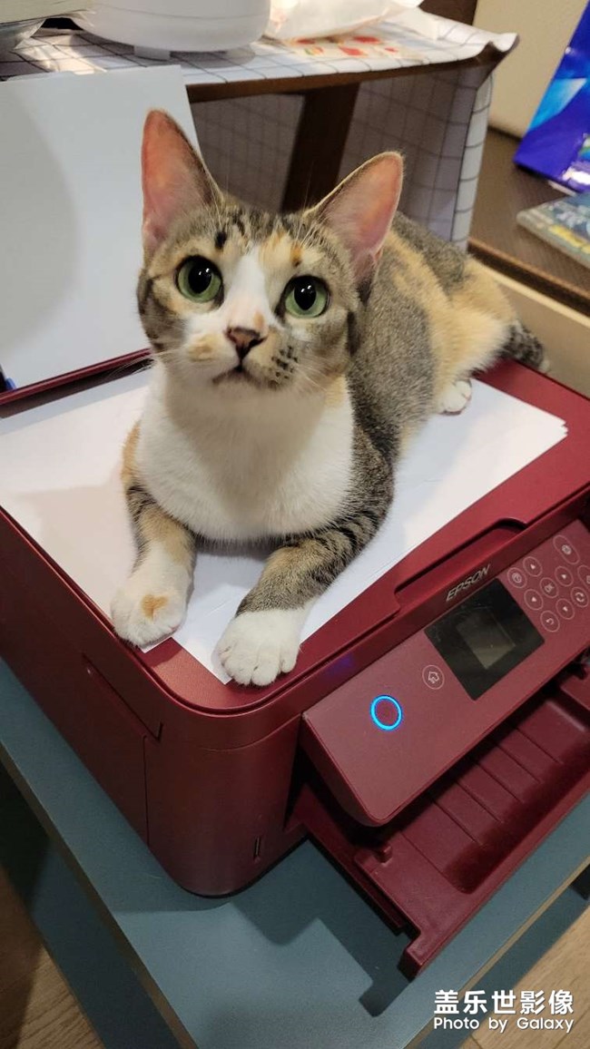 幸幸，之，打印机守护神