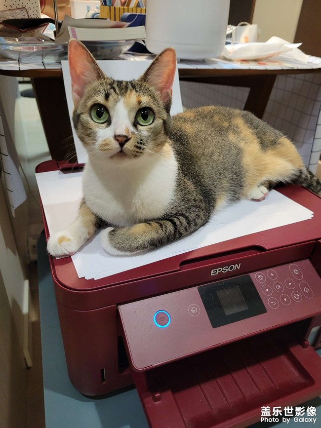 幸幸，之，打印机守护神