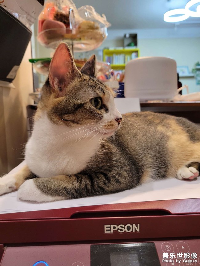 幸幸，之，打印机守护神