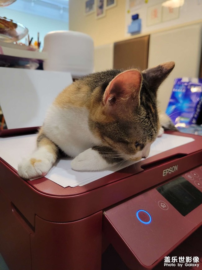 幸幸，之，打印机守护神