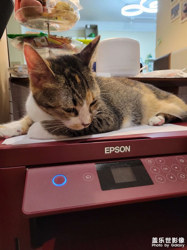 幸幸，之，打印机守护神