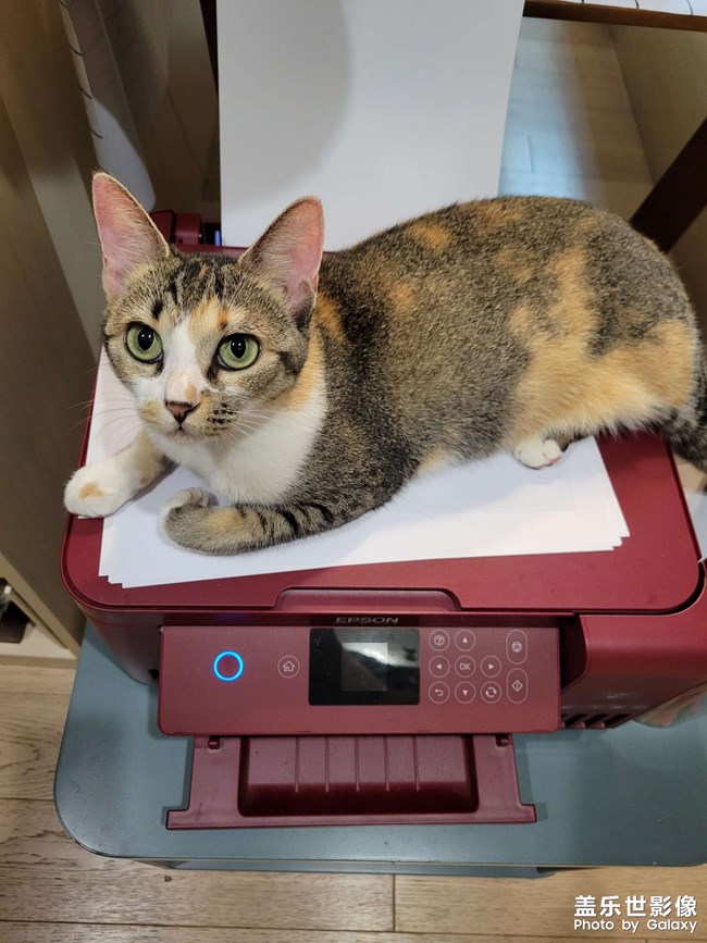 幸幸，之，打印机守护神