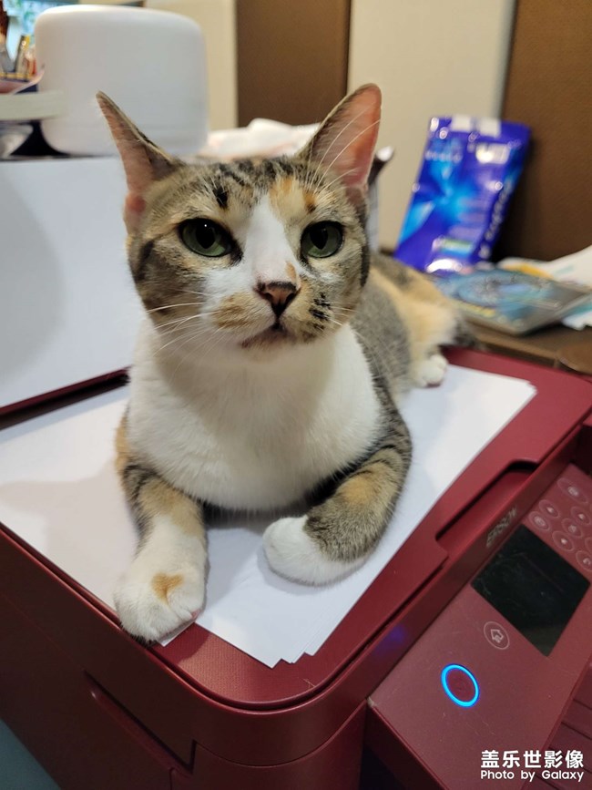 幸幸，之，打印机守护神